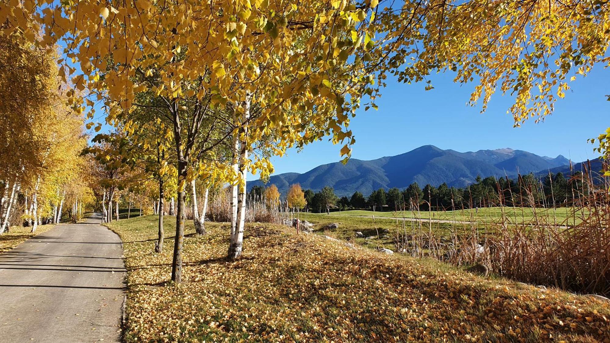 Green Peaks Suite In Pirin Golf & County Club ラズロク エクステリア 写真