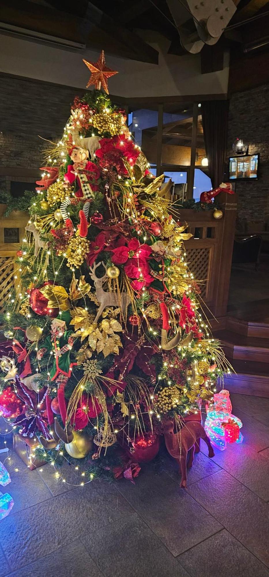 Green Peaks Suite In Pirin Golf & County Club ラズロク 部屋 写真