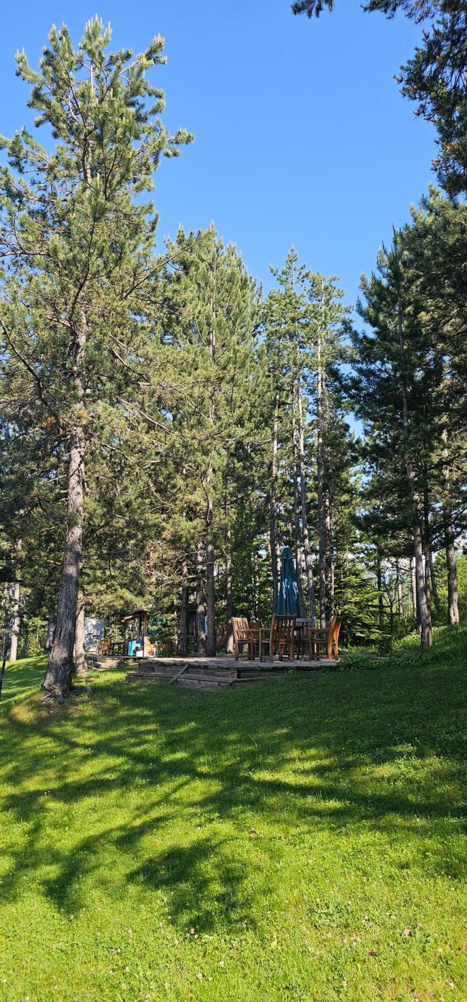 Green Peaks Suite In Pirin Golf & County Club ラズロク 部屋 写真